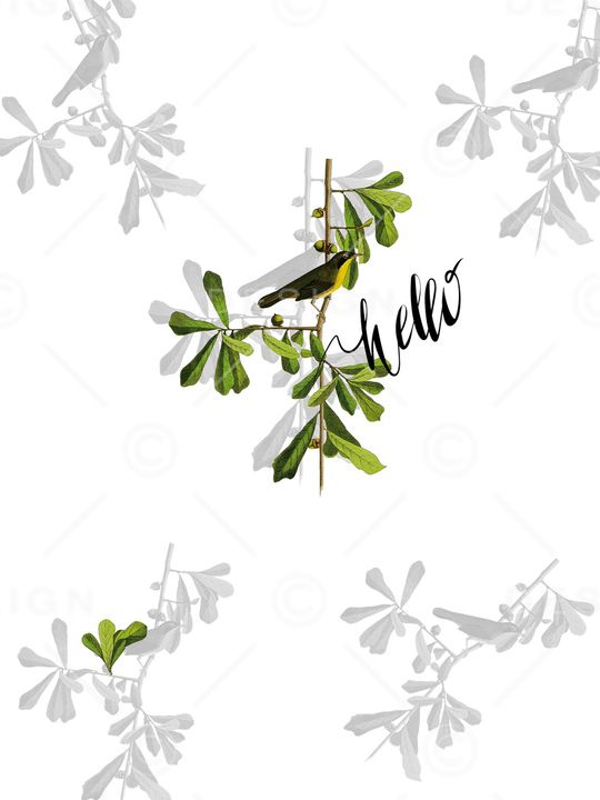花卉印花花型图片