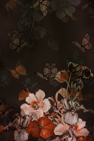 蝴蝶印花花型图片