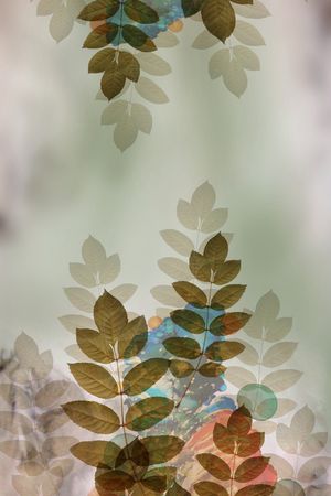大牌风印花花型图片