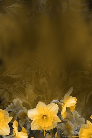 大牌风印花花型图片
