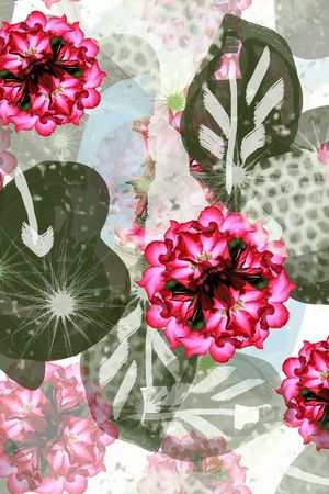 花卉印花花型图片