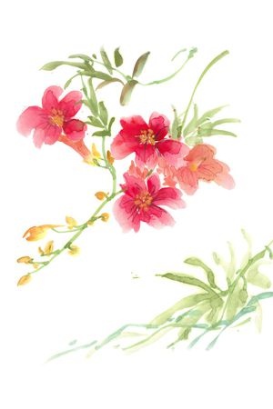 手绘印花花型图片