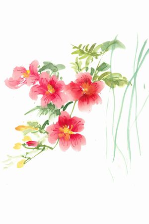 手绘印花花型图片