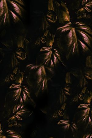 古典花纹印花花型图片