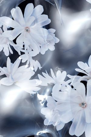 沾染印花花型图片