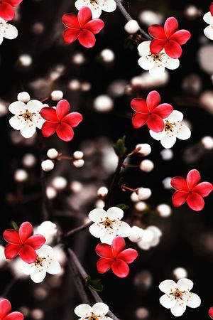 时尚印花花型图片