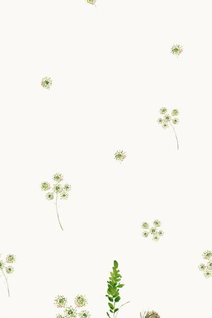 数码花型印花花型图片