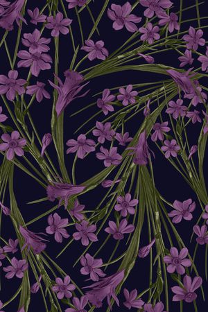 DIOR印花花型图片