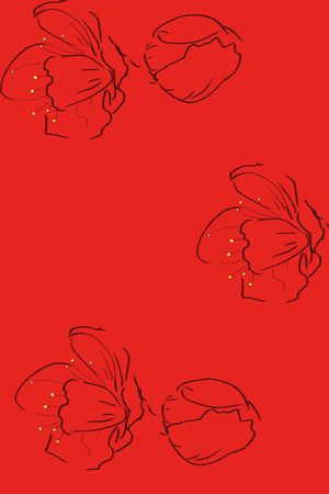女装印花花型图片