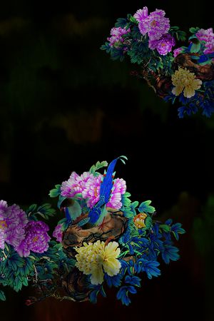 女装印花花型图片