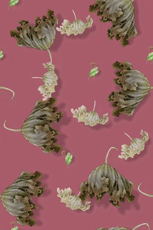 绿植树叶印花花型图片