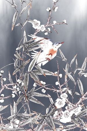 牡丹印花花型图片