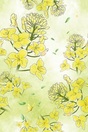 真丝印花花型图片