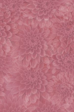 花卉印花花型图片
