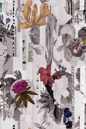 花卉印花花型图片