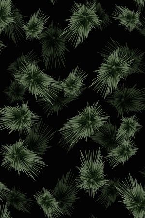 黑底花卉印花花型图片