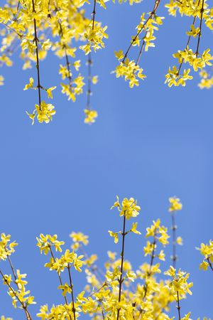 风景景观印花花型图片