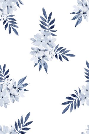 女装印花花型图片