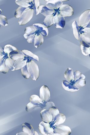 花卉印花花型图片