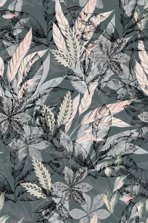 女装印花花型图片