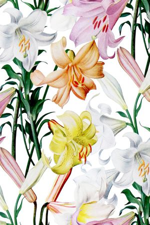 百合印花花型图片