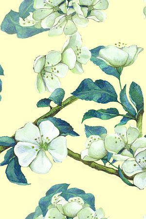 数码花型印花花型图片