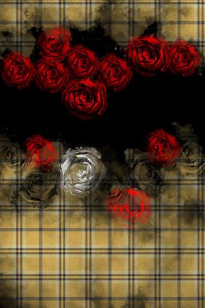 plaid印花花型图片
