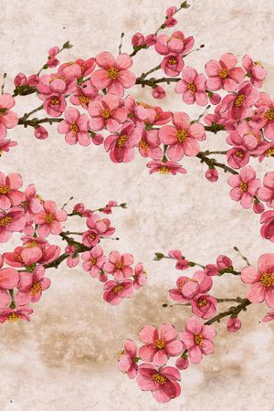 中国风印花花型图片