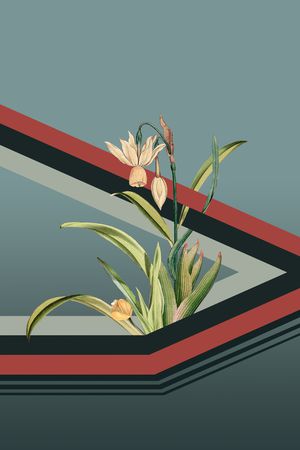 花卉印花花型图片