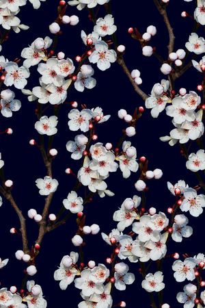花卉印花花型图片