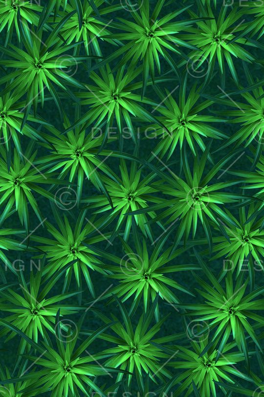 花卉印花花型图片