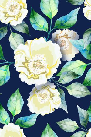 女装印花花型图片