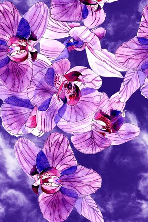 水彩花卉印花花型图片