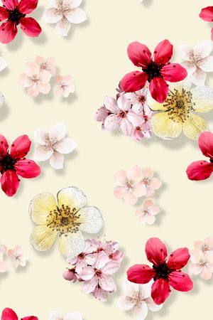 年轻女性印花花型图片
