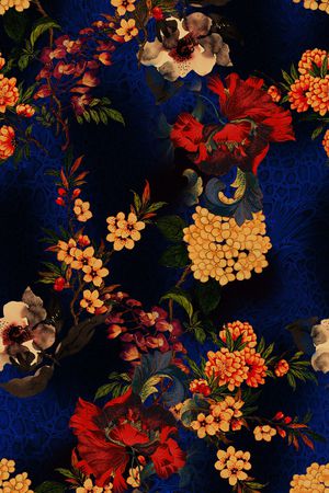 女装印花花型图片