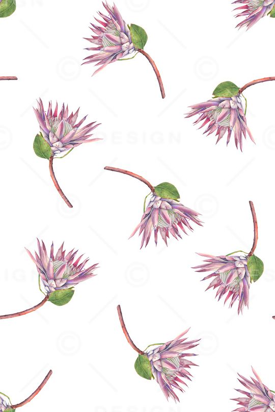 花卉印花花型图片