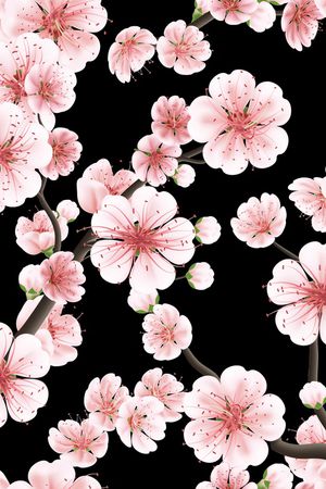 黑底花卉印花花型图片