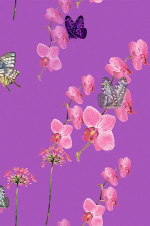 女装印花花型图片