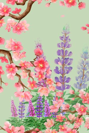 女装印花花型图片