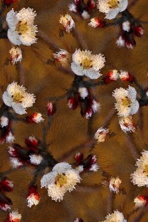 抽象花卉印花花型图片