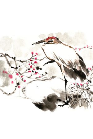 鸟印花花型图片