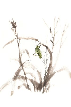 手绘印花花型图片
