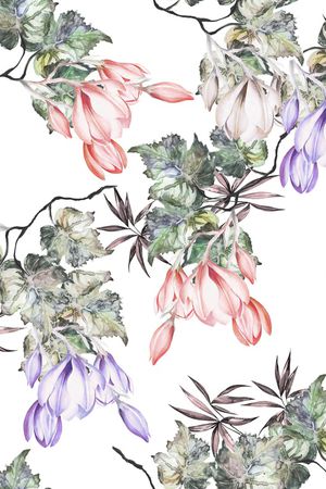 水彩印花花型图片