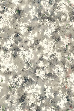 水彩印花花型图片