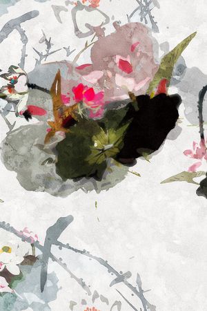 鸟印花花型图片