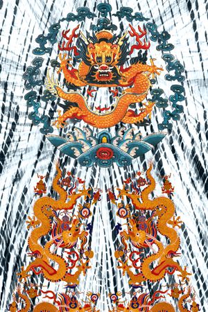 定位花印花花型图片