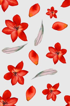 花卉印花花型图片