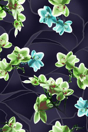 花卉印花花型图片