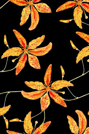 香蕉花卉印花花型图片