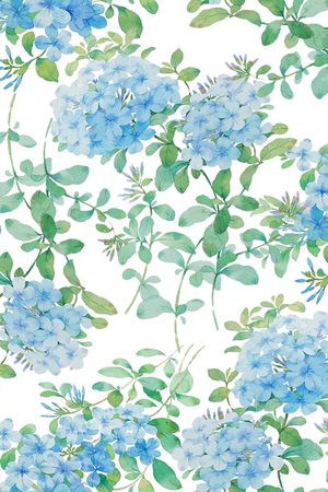 紫藤花印花花型图片